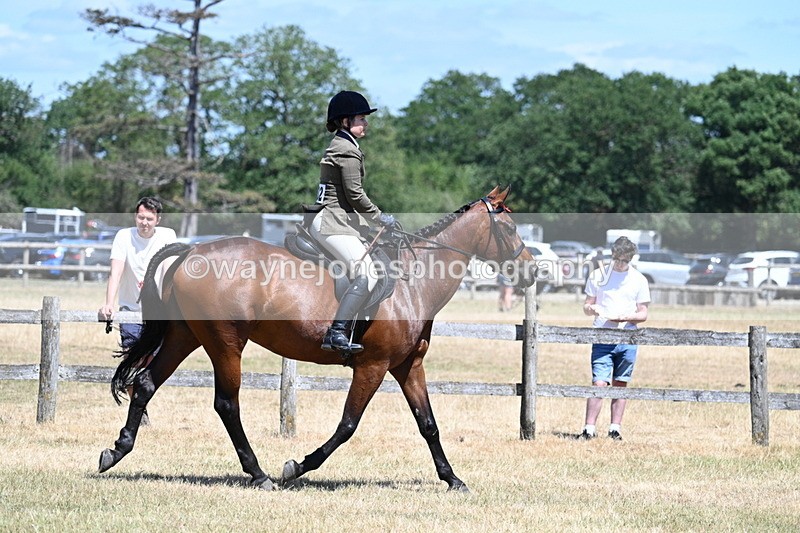 WJ7_2848 - Class 7 Riding Club Show Horse