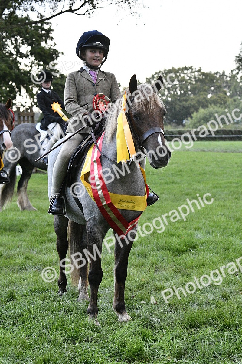SBM_53347 - S14 - Riding Club Horse