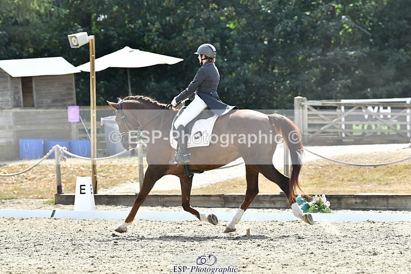 260802A-152210-07380 - Intermediate Bronze