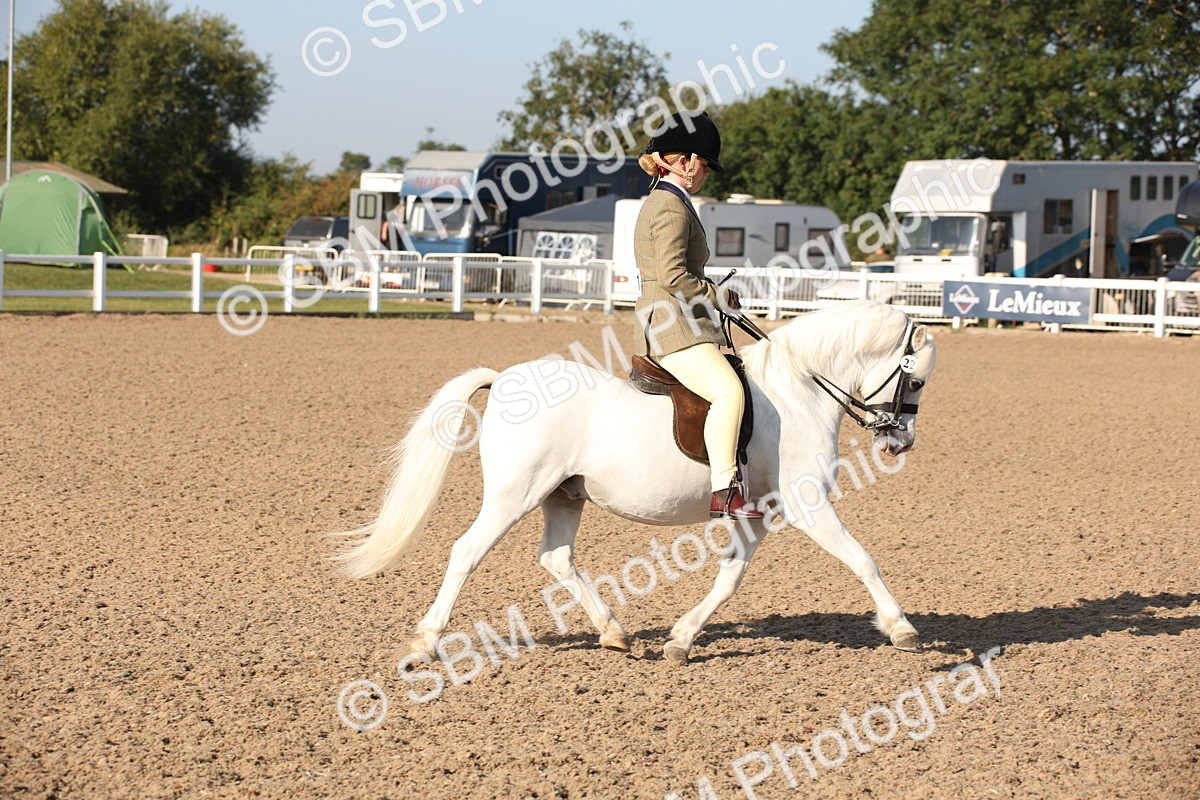 SBM_00642 - Class 14 Ridden M&M Wildcard