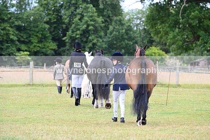 WJ7_6457 - Class 5 Handsome Gelding in hand