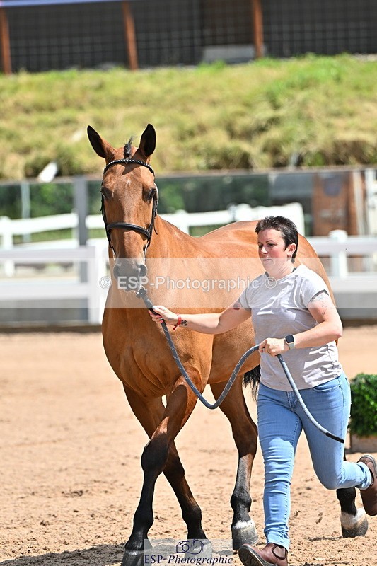 240718A-105300-01425 - Trot Up 12pm to 1pm