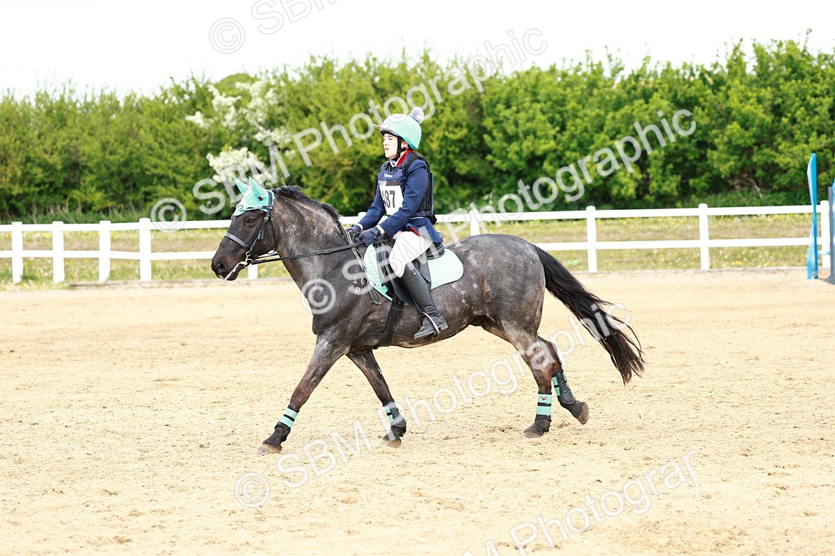 SBM_008045 - Class 3 - 60cm