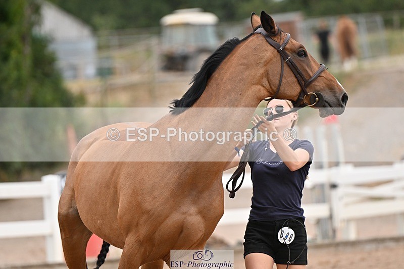 250716-160001-02321 - Trot Up 3.30 to 4.30