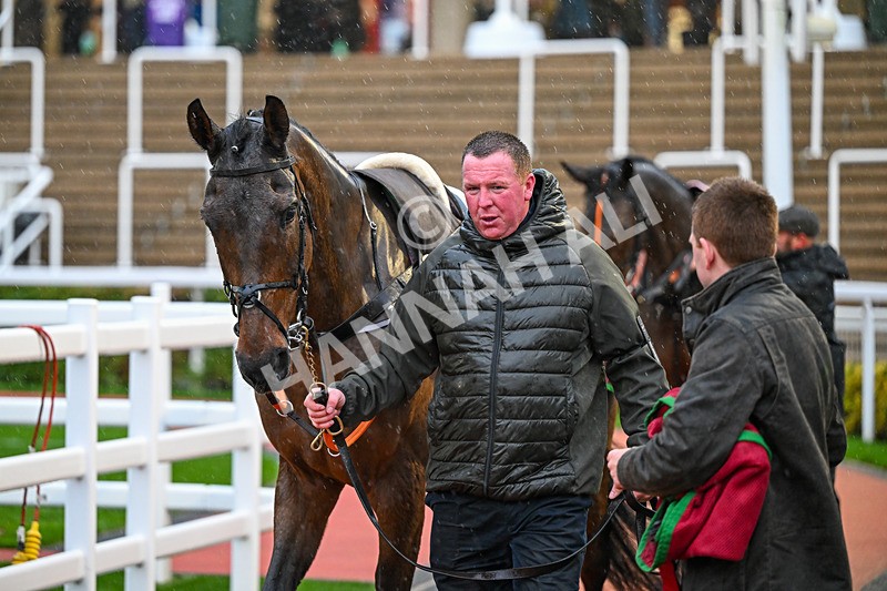 141125-Race 5-Kings Bucks-0719 - Race 5