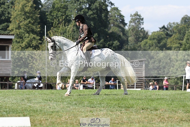 250823A-132107-31295 - Arena D