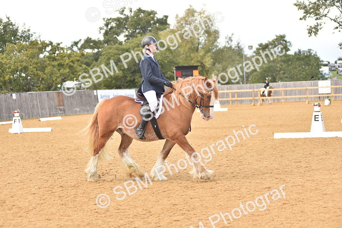 SBM_29609 - D16 -Small Tour Championship Novice 2