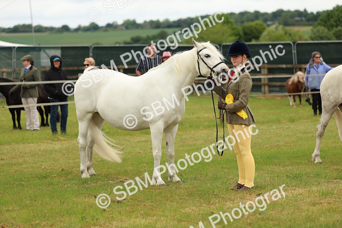 SBM_04243 - Class 64-67 - Shetland Pony In Hand