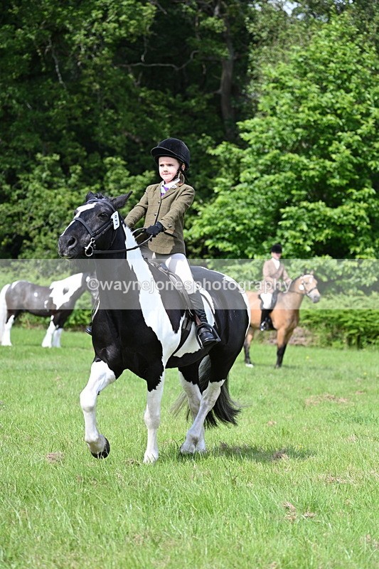 WJ7_1148 - Class 11 Condition & Turnout