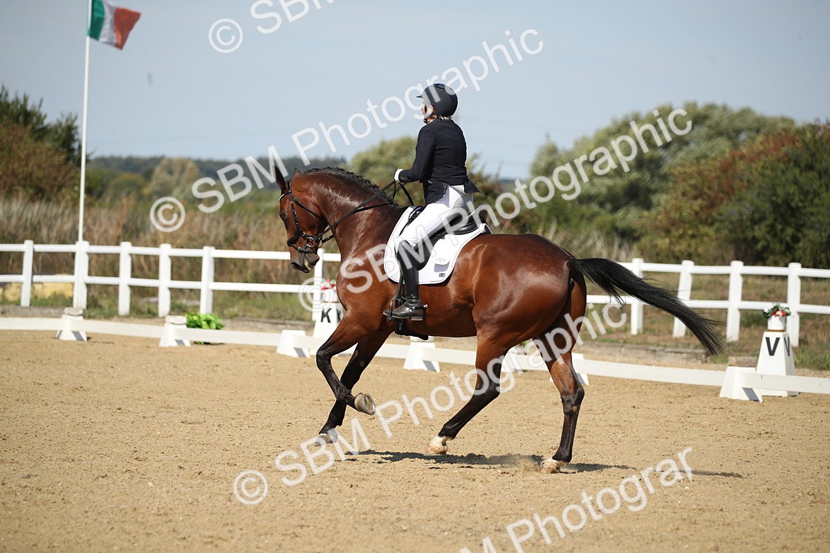 SBM_005005 - Class 11 - Novice 5 - 11.41-12.58