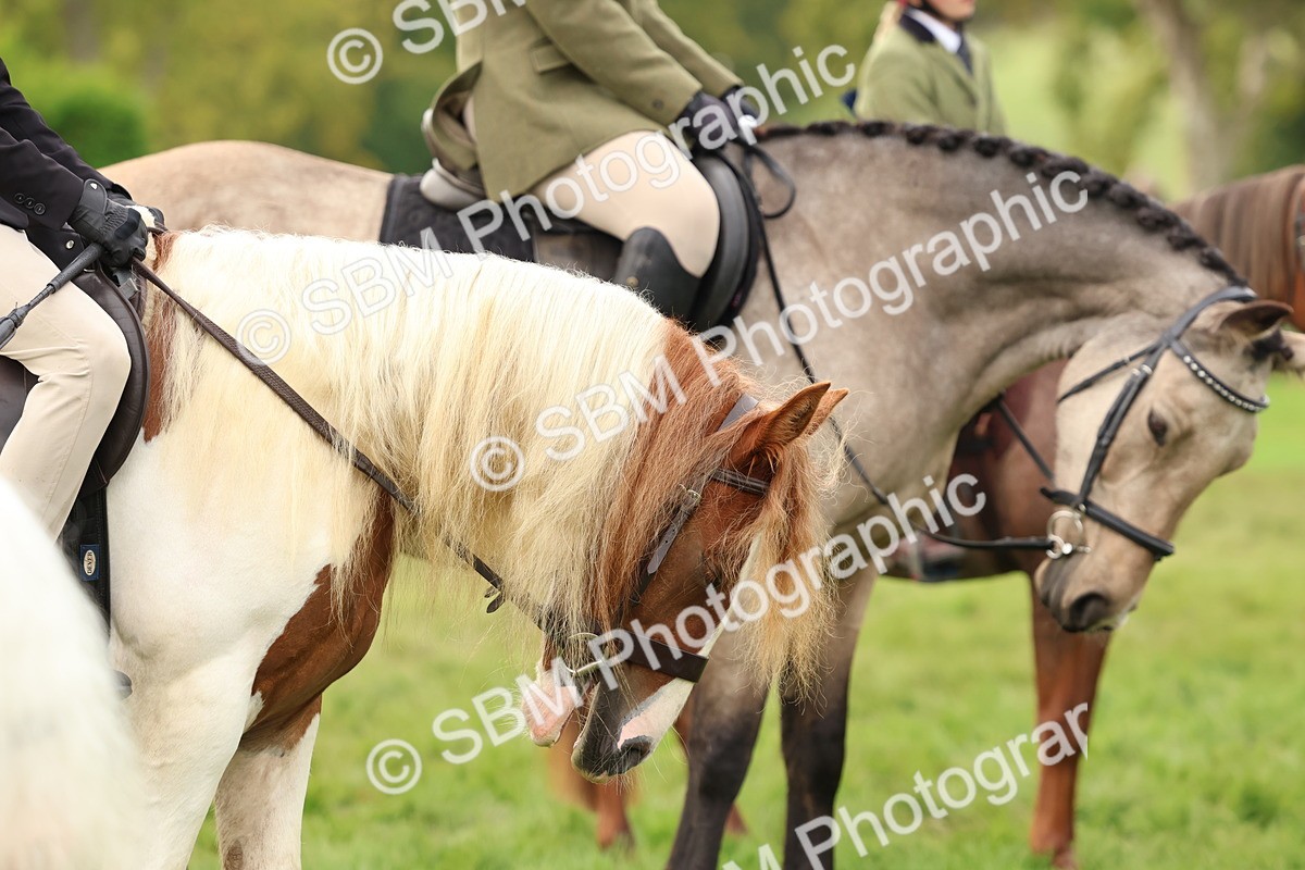 SBM_56686 - S40 - Starters Ridden Showing
