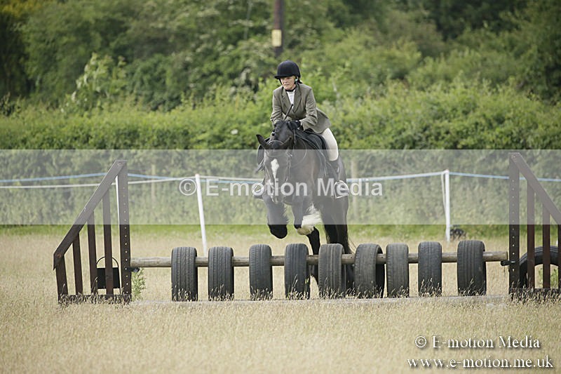 B230619-0162 - Bourne Valley Riding Club Summer Show 23/06/19