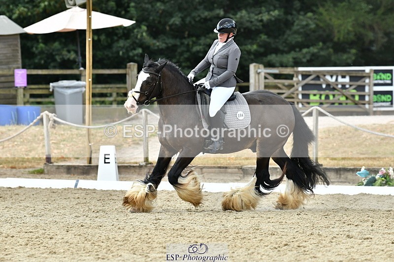 260801A-121853-03888 - Prelim SIlver Break - End