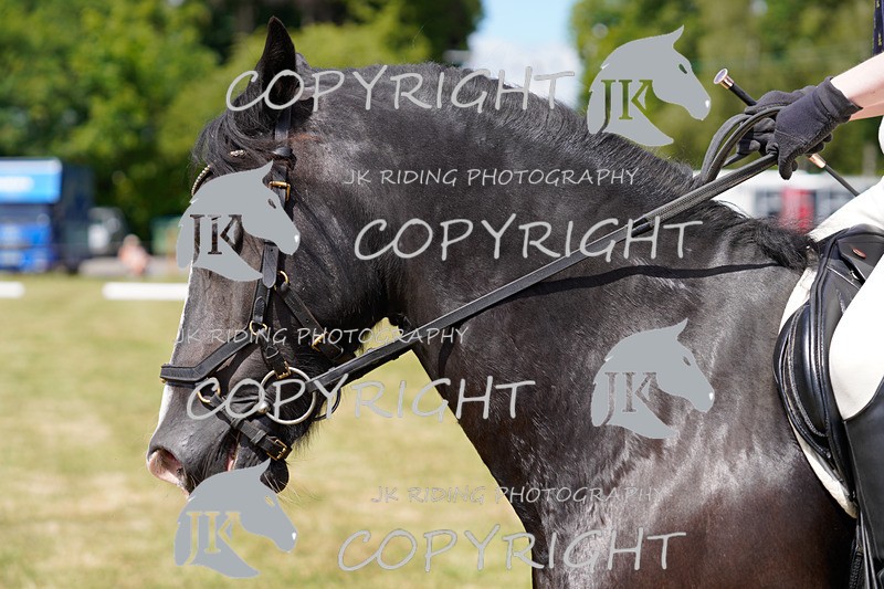 _DSC1279 - CLASS 4 NOVICE 1