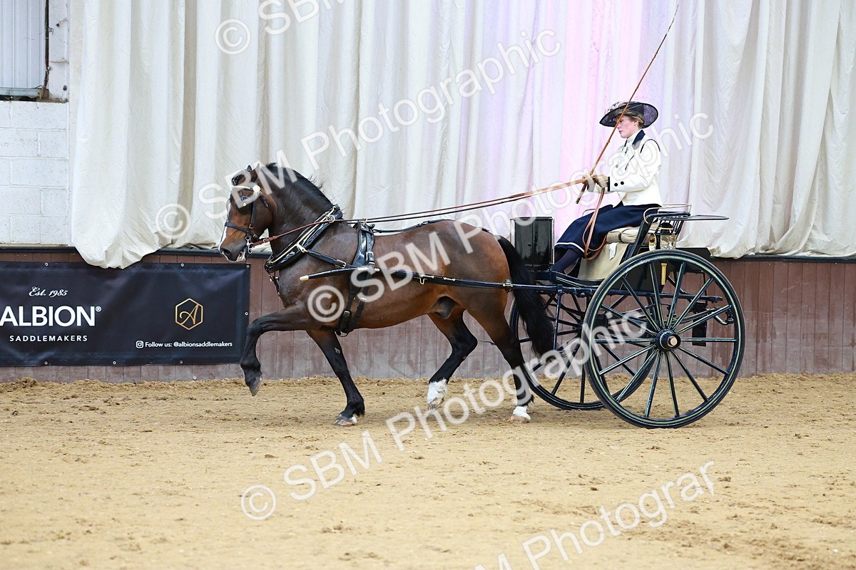 SBM_000180 - Class 3 - Alison Thomas Memorial Lady Whip