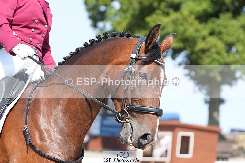 250817-145902-10789 - 200-Lyn.CockerillTwo.Minus.One