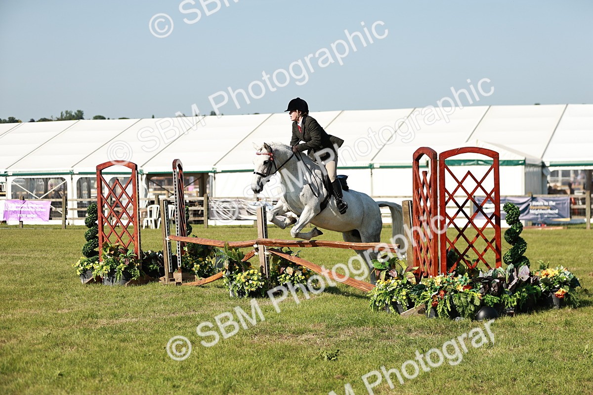 SBM_19204 - Class 115-116 - LIHS BSHA Rising Star Working Hunter & Show Horse