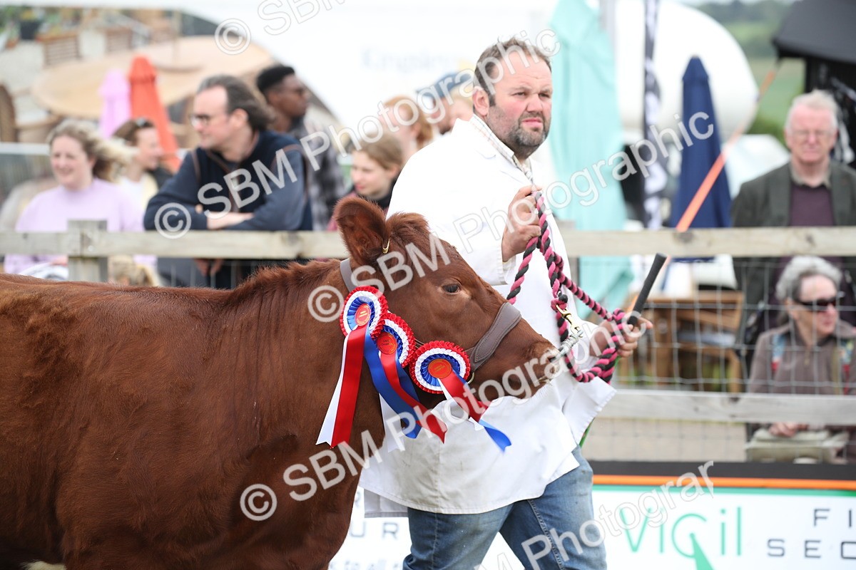 SBM_07842 - Grand Parade