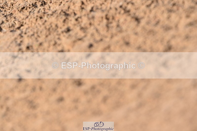 231101A-122442-00260 - Cls 4 Members 1.15m & Open