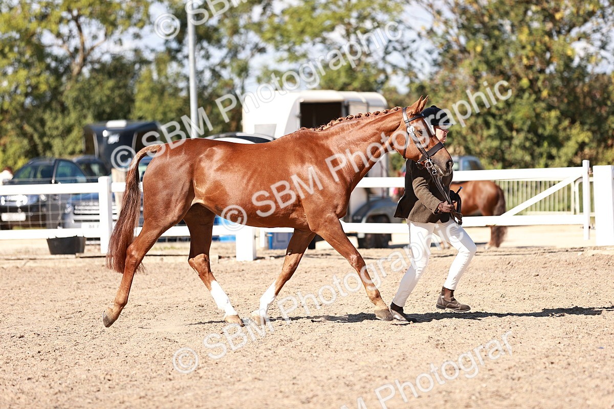 SBM_13313 - class 406 - IH Hunter