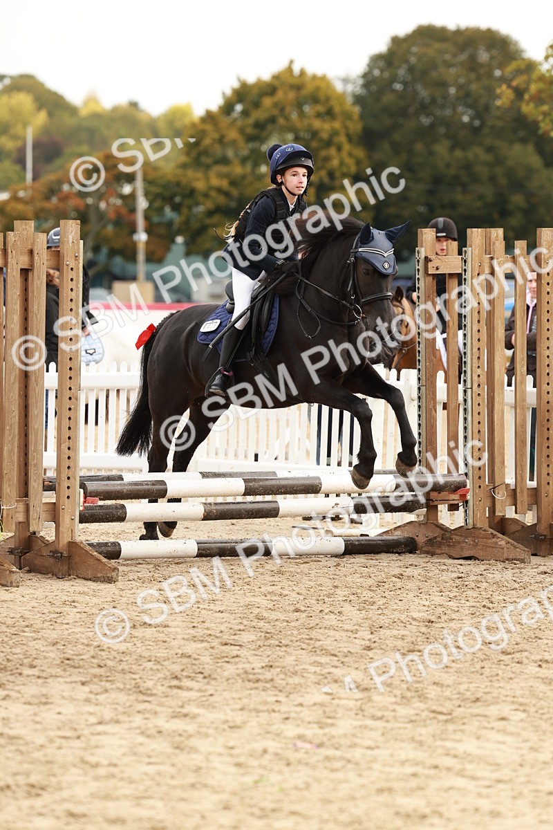 SBM_57713 - J11 - Junior Pony 50cm Championship