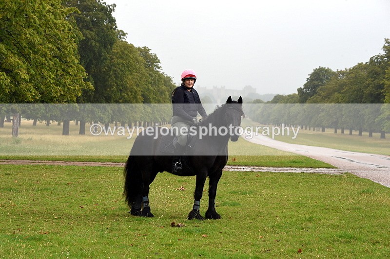 TT3_8033 - Time at Crossing 09:15 to 10:15