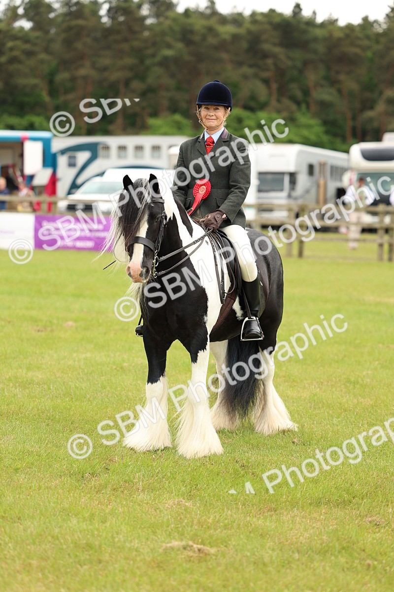 SBM_06300 - Class 39-41 TGCA In Hand and Ridden