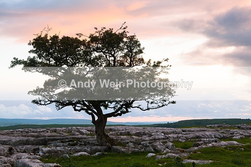 20120630-_MG_9127 - England