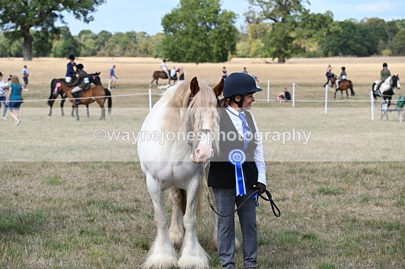 WJ6_6753 - Class 20 In-hand Cob