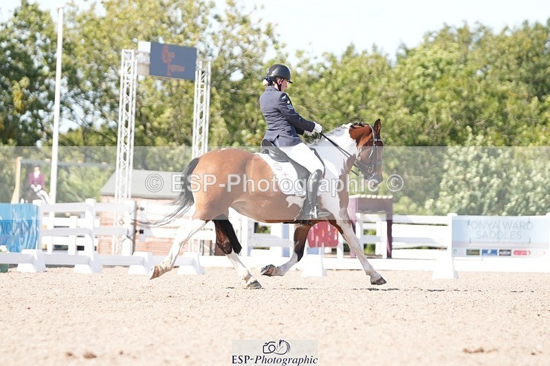 250906-151559-04700 - 112-Mel.DayDolderwydd.lucky.Maisie