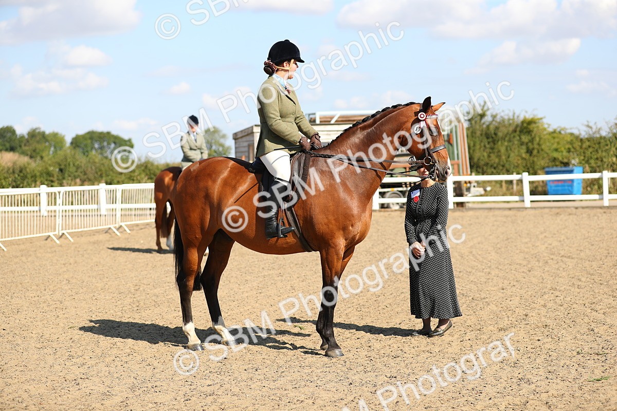 SBM_02347 - Class 43 Ridden Competition Horse/Pony