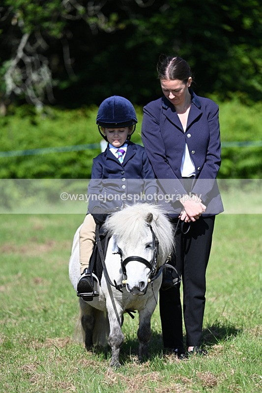 WJ7_0568 - Class 8 First Rally Pony