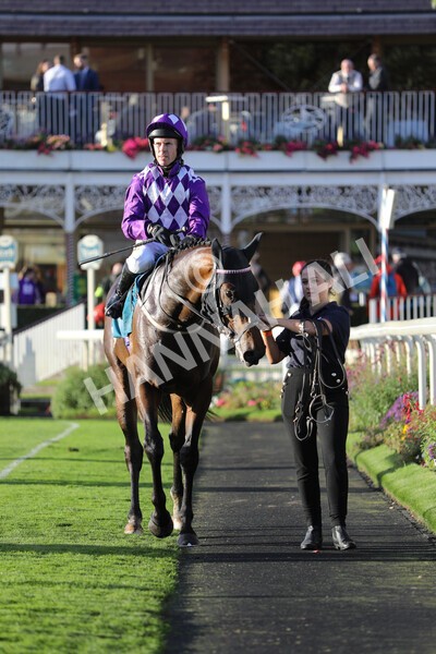 yr07102022r6-36 - Race 6 5.00pm William Hill Lengthen Your Odds EBF Novice Stakes