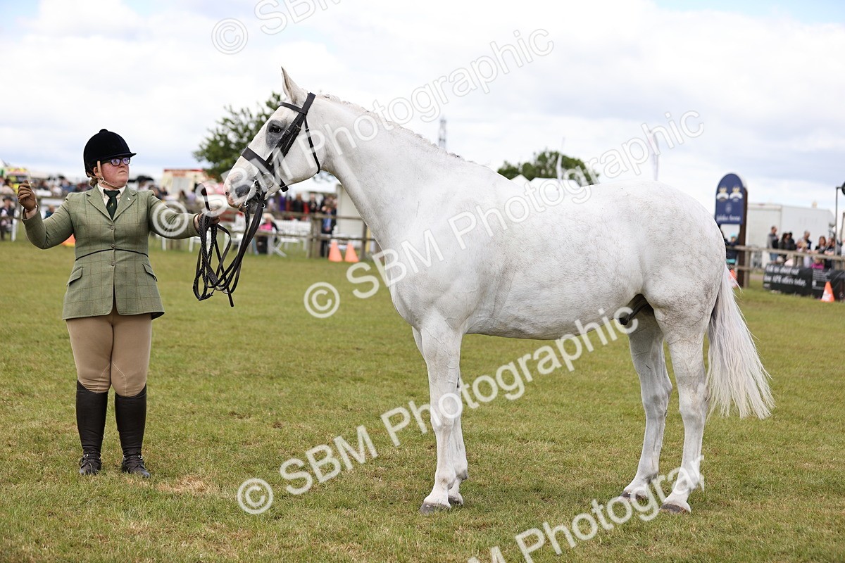 SBM_14739 - Class 88-89 - LIHS BSHA Rising Star of Ridden Hunter Type