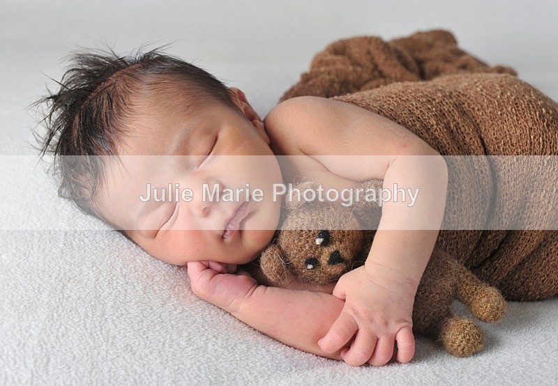 DSC_4908 - Sadie