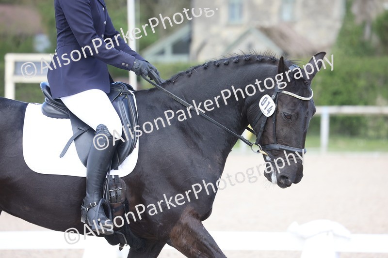 20260405-0448 - Class 5 - Elementary 5