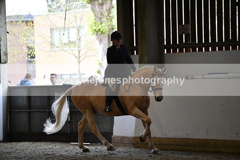 WJ5_6127 - Class 9 Ridden Veteran