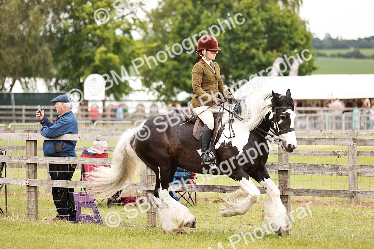 SBM_06120 - Class 39-41 TGCA In Hand and Ridden