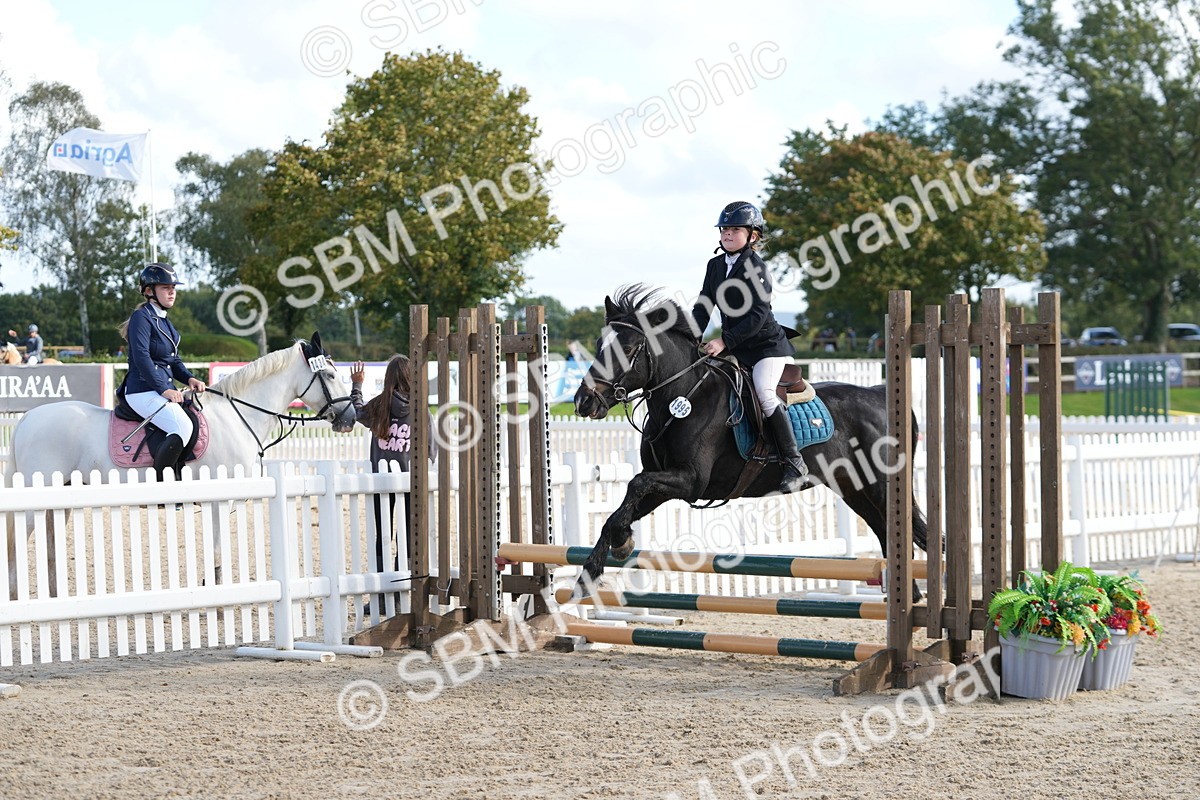 SBM_48434 - J7 - Junior Pony 60cm Championship