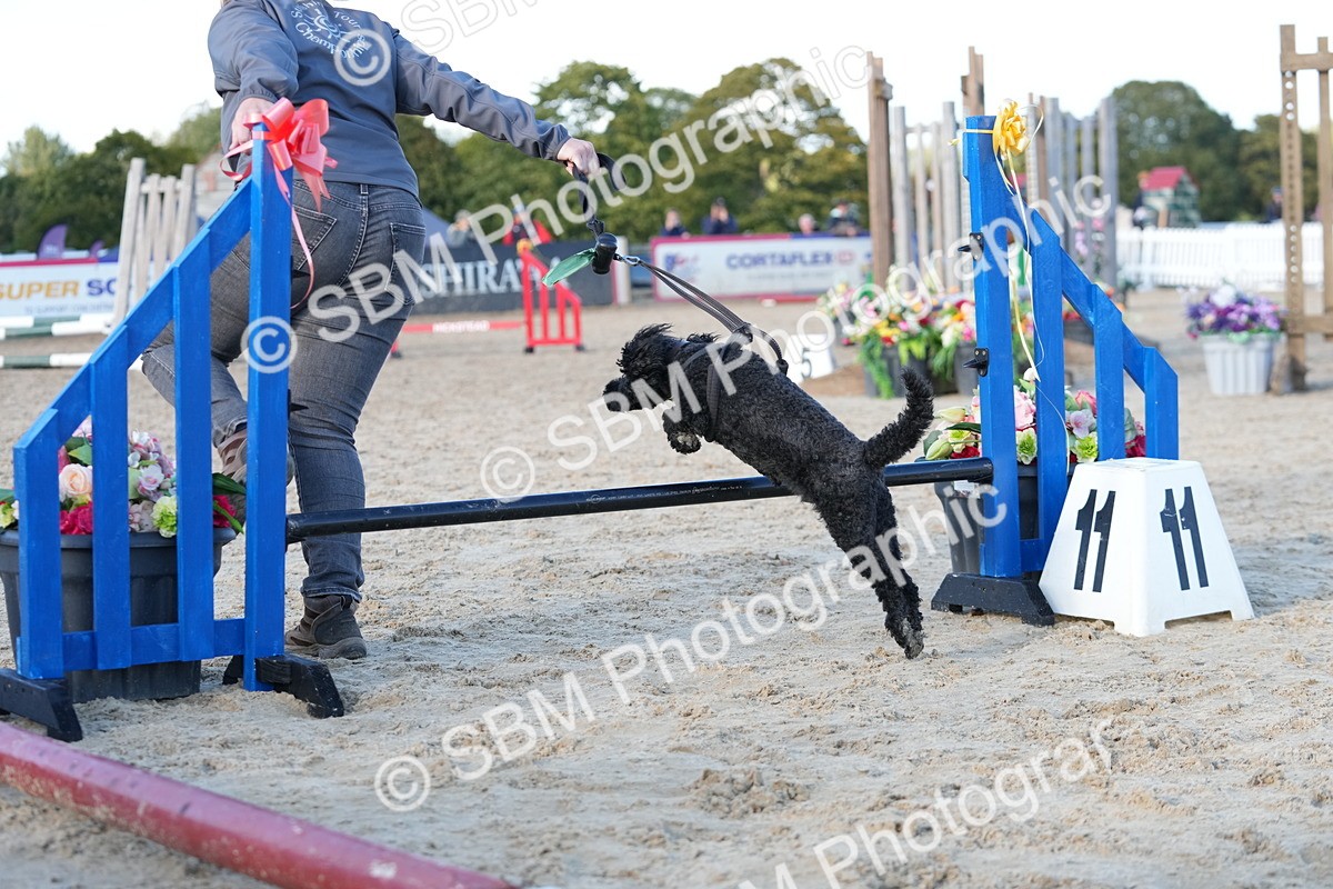 SBM_29009 - J43 - Horse & Hound Open 50cm