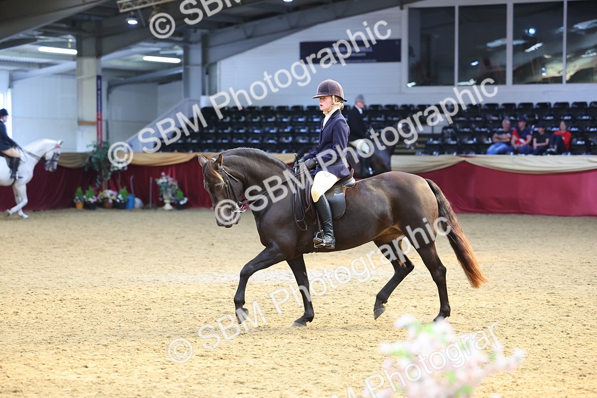SBM_24554 - Class 906 - Supreme Final - Ridden Pre Vet