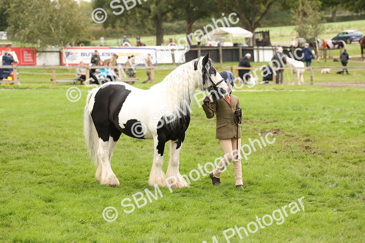 SBM_59260 - S57 - Traditional Cob In Hand