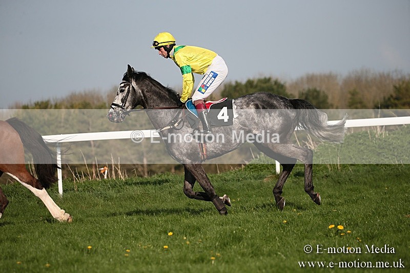 PtP 210418 595 - South & West Wilts Point-to-Point Larkhill 21/04/18