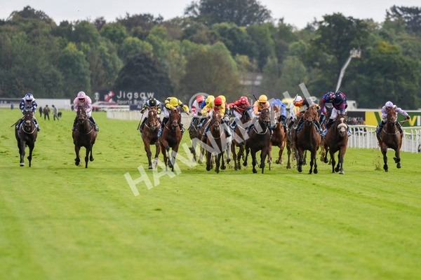 230923-Race 4-Aphelios-5685 - Race 4 3.45pm Jigsaw Sports Branding Handicap