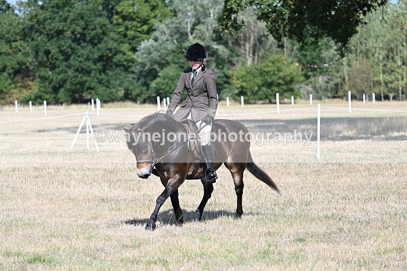 WJ7_2931 - Class 8 Ridden Tack & Turnout