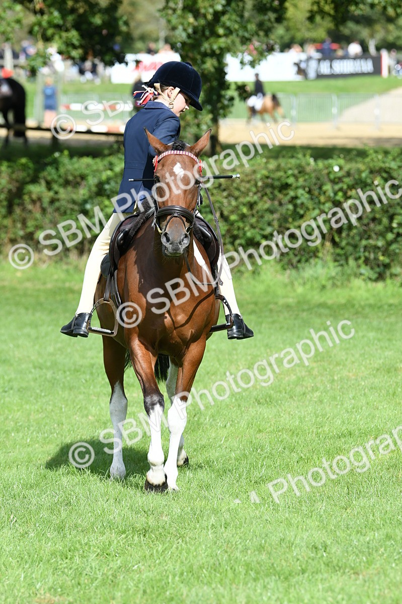 SBM_47147 - S12 - Family Horse & Pony