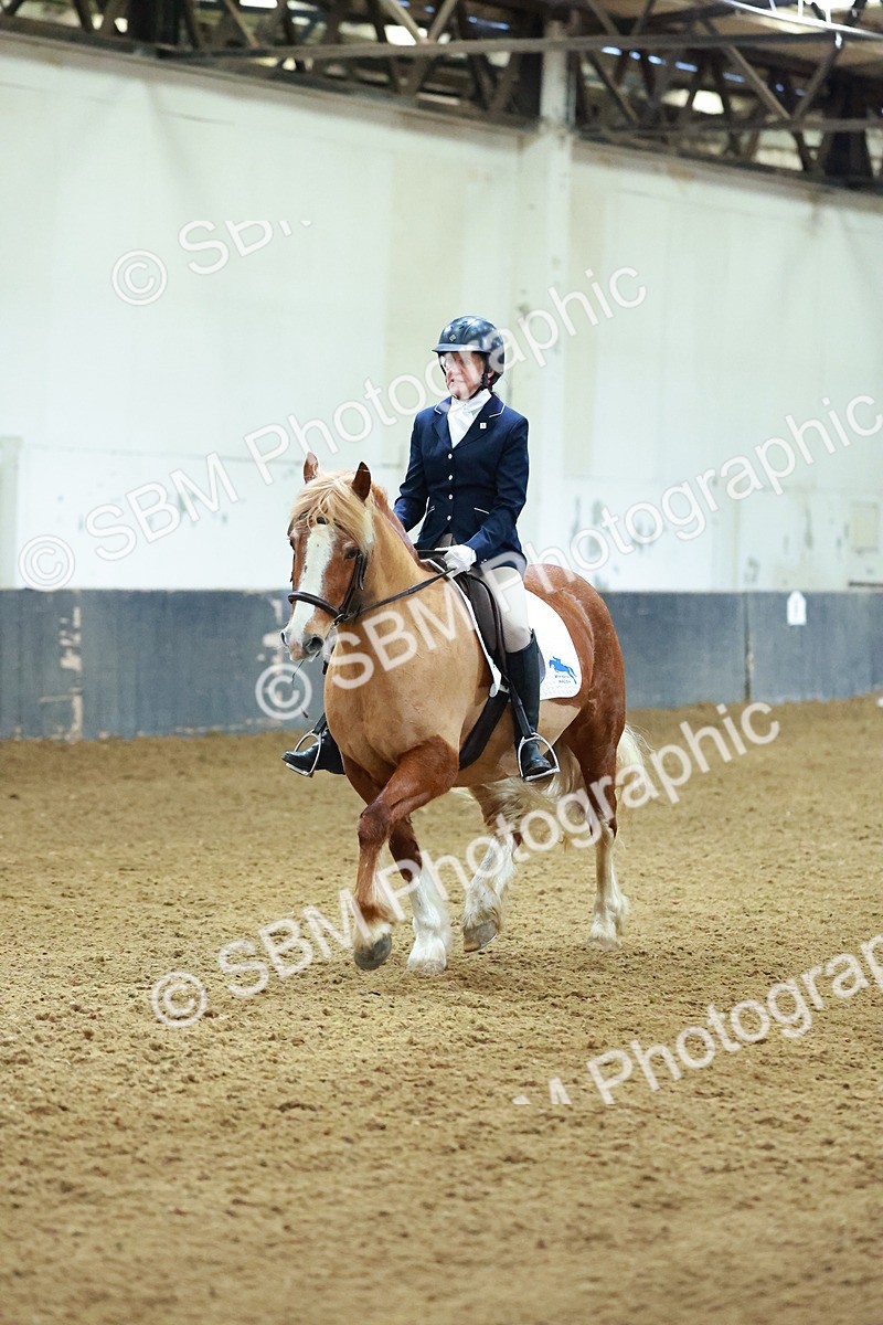SBM_003626 - Novice 2