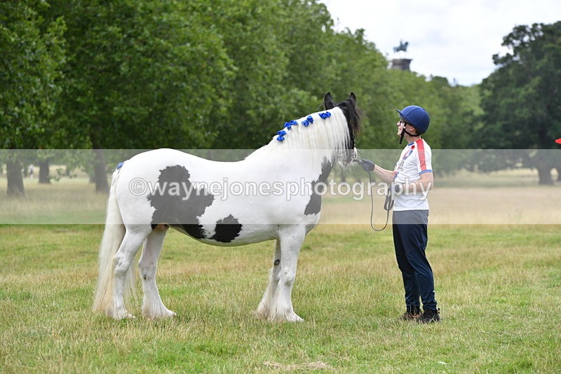 WJ5_9843 - Time at Jump 09:22 to 10:43