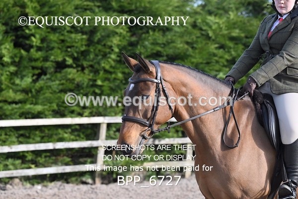 BPP_6727 - RING 1  (RIDDEN HORSES / IN HAND / VETERAN ETC)