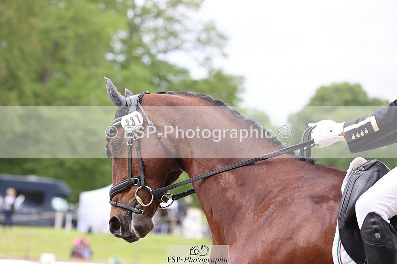 240523-145749-02985 - 231-DHI_ROCK_DANCER-Roberto_Scalisi